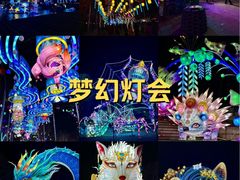 -淄博花灯齐彩城