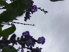-云峰山自然风景区