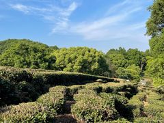 -西湖风景区十里琅珰-五云山