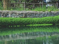 -成都市活水公园