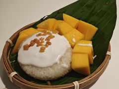 -GOGO Plate(成都太古里店)