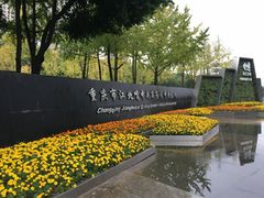 -重庆市江北嘴中央商务区中央公园