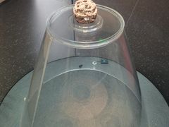 -鸿山遗址博物馆