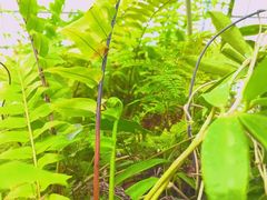 -北京植物园-展览温室