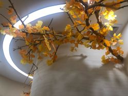 -芳朵美容养生SPA