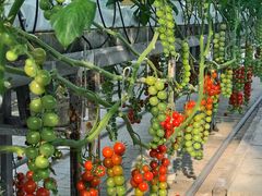 -中国农科院国家农业科技展示园