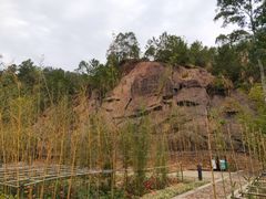 -神光山国家森林公园