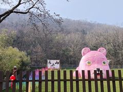 -南京老山国家森林公园