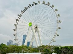 -星巴克臻选(深圳欢乐港湾店)