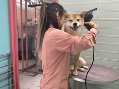 -FAELING PETS美天灵宠物(合生汇店)