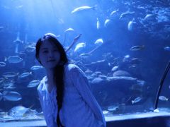 -太平洋海底世界