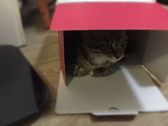 -馋火炉鱼(新世界百货望京店)