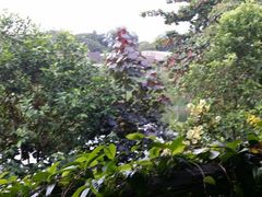 android_upload_pic-河川生态园