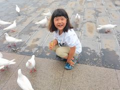 -天津妈祖文化园