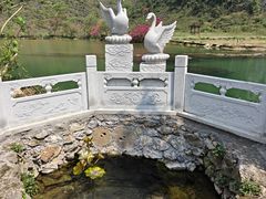 -靖西鹅泉风景区