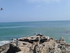 -刘公岛景区