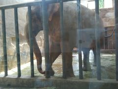 -石家庄市动物园