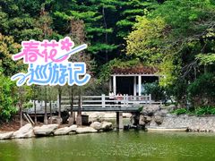 -广州市帽峰山景区