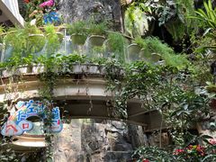 -正佳雨林生态植物园