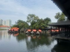 -侨美·唐荔园·40年地道粤菜