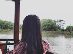 -长兴太湖图影湿地文化园