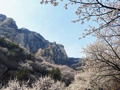 -北京凤凰岭