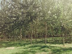 -河北工业大学(北辰校区)