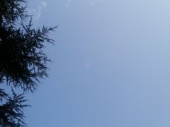 -河南省黄河迎宾馆