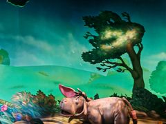 -小熊维尼历险之旅