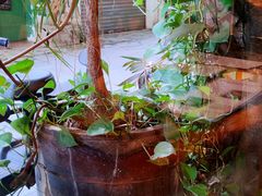 -西关84·History·Art·Cafe