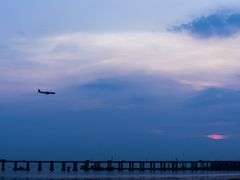 -宝安西湾红树林湿地公园