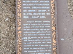 -阳台山自然风景区