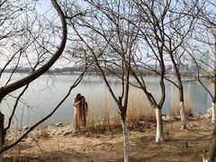 -大兴滨河森林公园