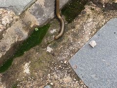 -玻璃桥景区石牛寨