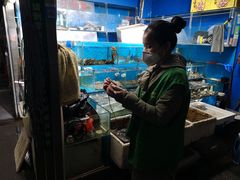 -岳各庄批发市场(西四环中路店)