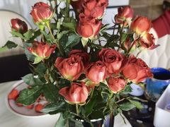 -双季花艺园艺市场(浦东店)