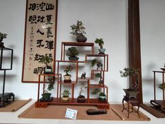 -郭庄景区