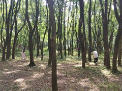 -东湖落雁景区