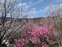 -香山公园