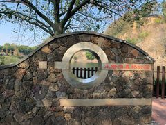 -王借岗森林公园