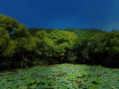 -兰亭风景区