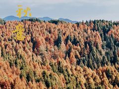 -山王坪喀斯特国家生态公园