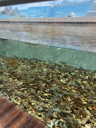 -钓虾工场·钓虾·赶海(回龙观店)