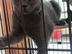 -iF摄影•全家福•证件照•形象照(南山店)