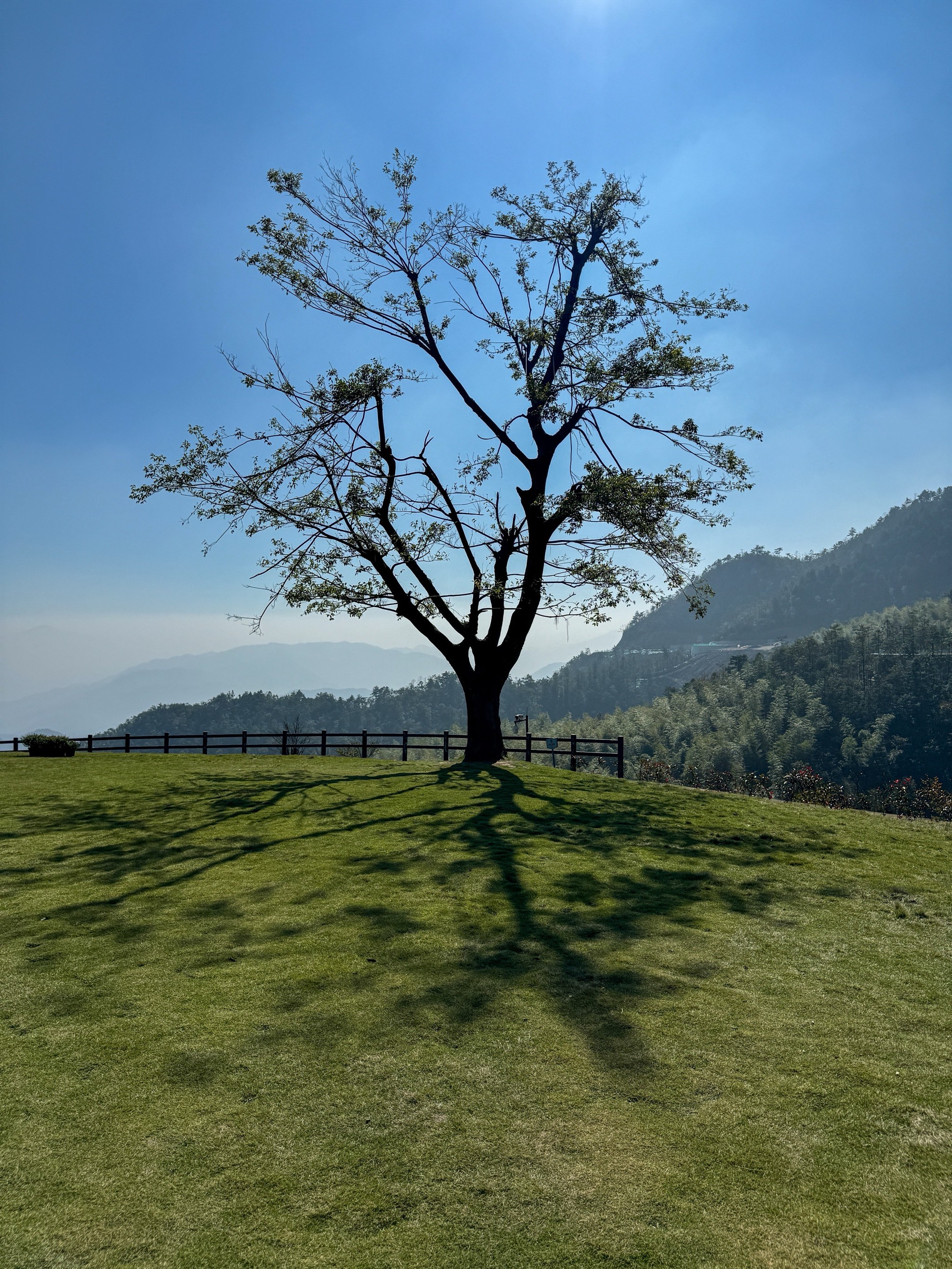 新昌天姥山景区电话图片