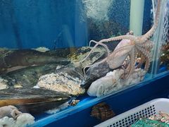 -昌顺园·养马岛渔家海鲜餐厅·老鲁菜(龙湖店)