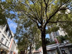 -坂田手造文化街