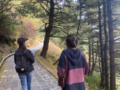 -苍山感通索道
