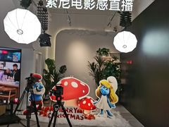 -Sony Store 索尼(上海淮海中路店)