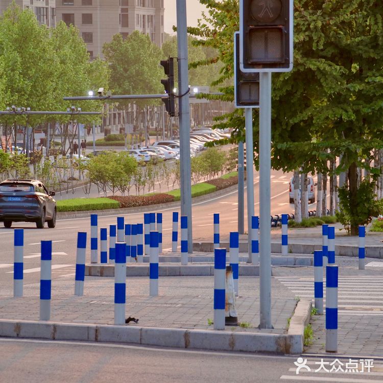 重庆踏青|小众打卡地-九曲河湿地公园